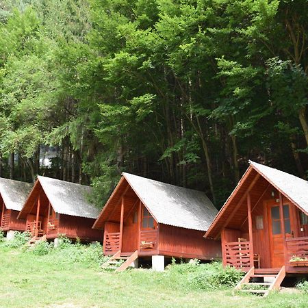 Cabanute Si Camping Dracula Capatineni-Paminteni Екстериор снимка