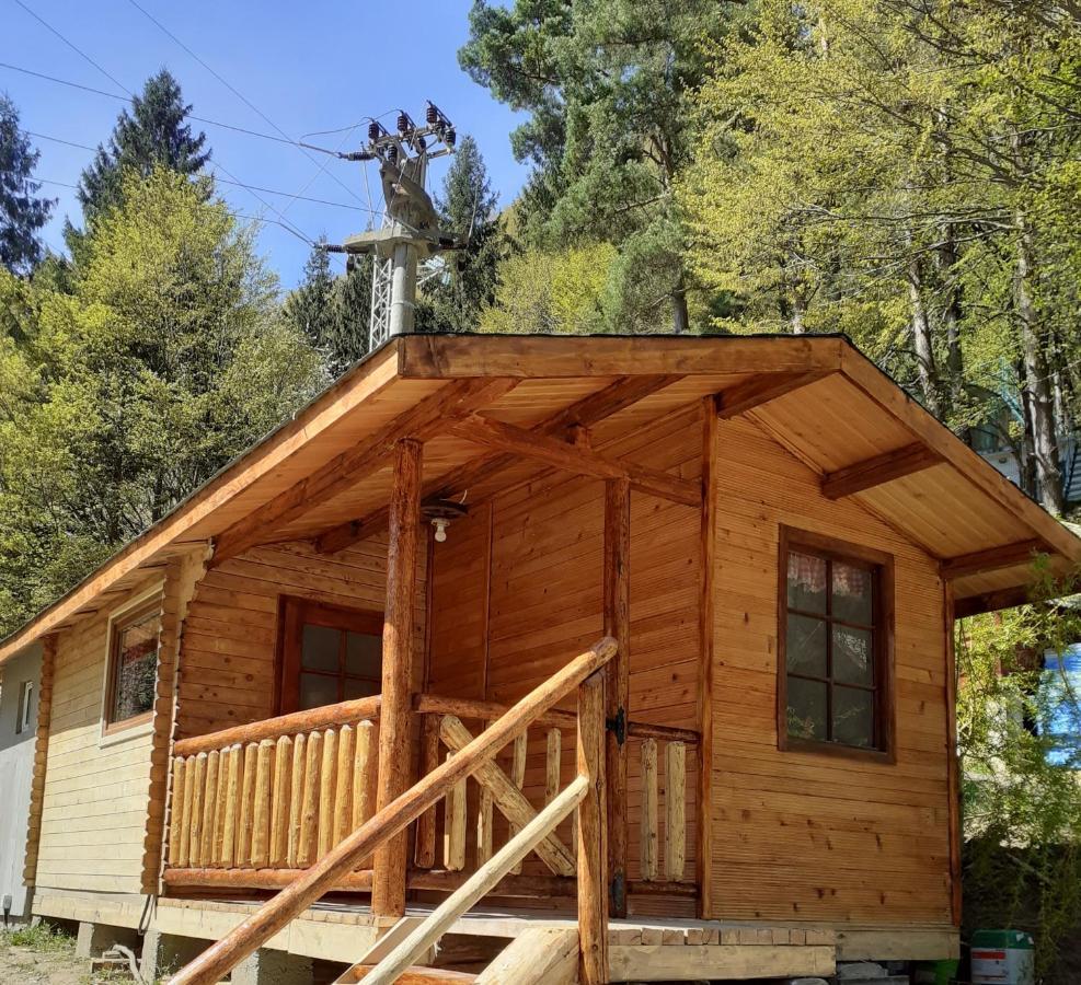 Cabanute Si Camping Dracula Capatineni-Paminteni Екстериор снимка