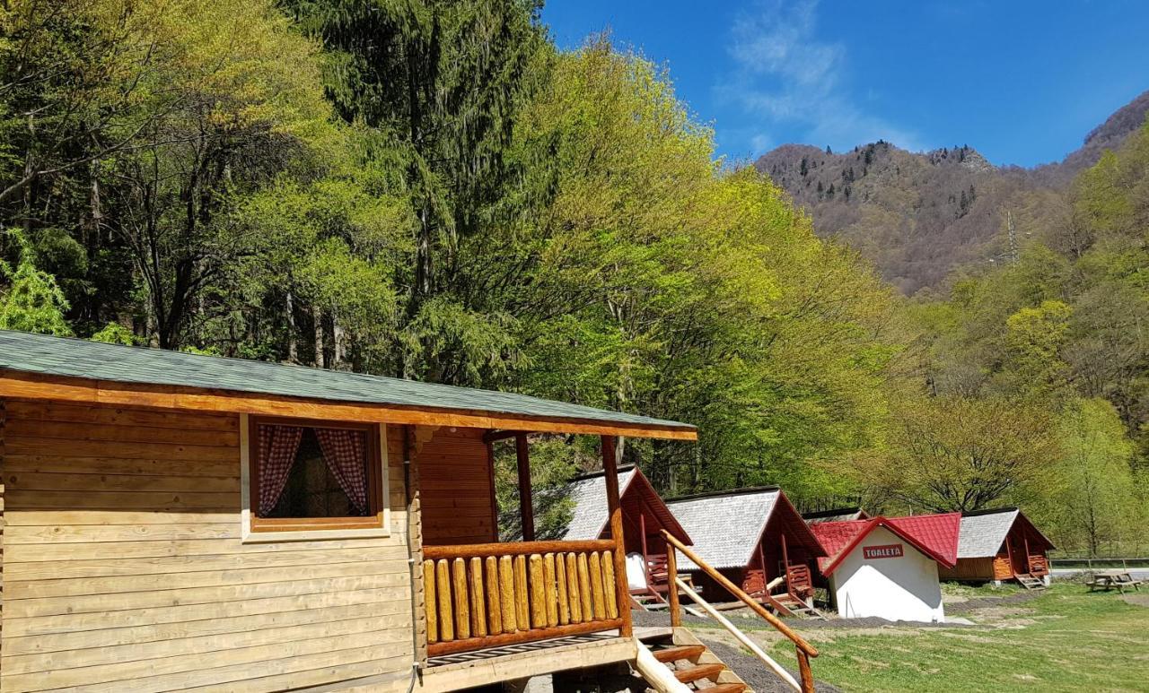 Cabanute Si Camping Dracula Capatineni-Paminteni Екстериор снимка